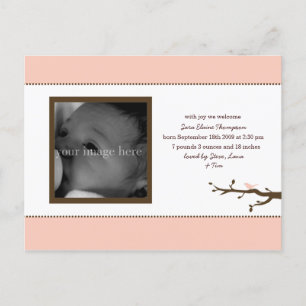 Anúncio de Bebê Passarinho Rosa