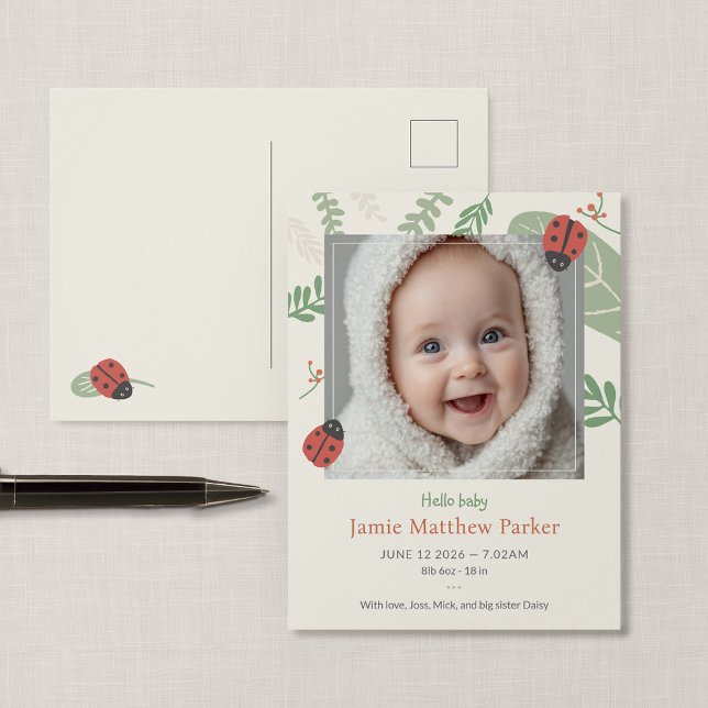 Anúncio de Cartão Postal de Revelação de Bebê Joan (Ladybird Meadow - Ladybug New Baby Photo Postcard Announcement)