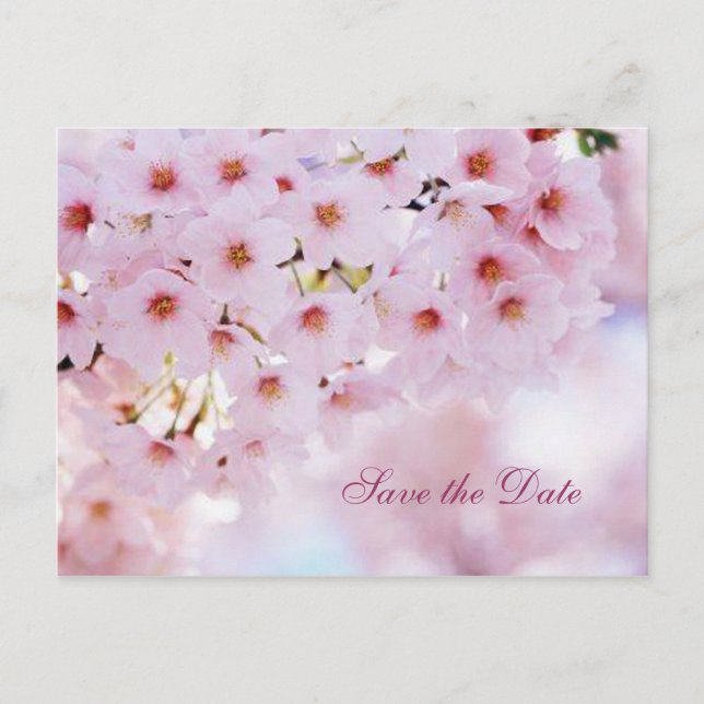 Anúncio de cartão postal Save the Date da flor de  (Frente)