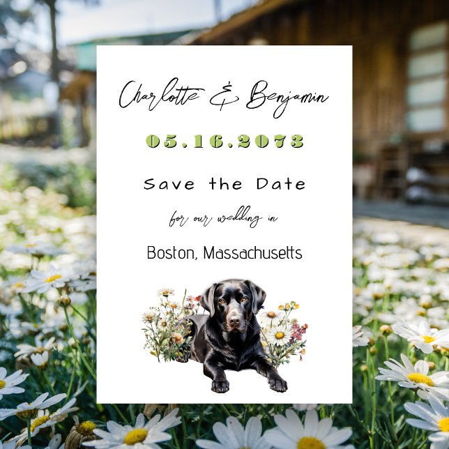 Anúncio de casamento do Black Lab para salvar a da (Criador carregado)