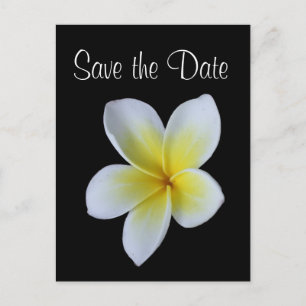Anúncio de casamento Frangipani save the date