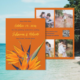 Anúncio de Casamento Multi-fotográfico Bird of Par