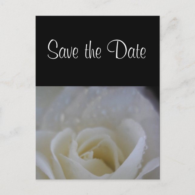 Anúncio de casamento save the date rosa anjo (Frente)