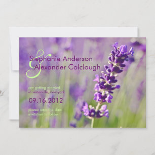 Anúncio de Data de Casamento Lavendar
