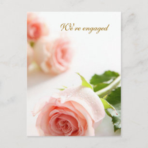 Anúncio de Engajamento de rosa rosa branca