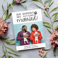 Anúncio de foto de animais de estimação casando QR