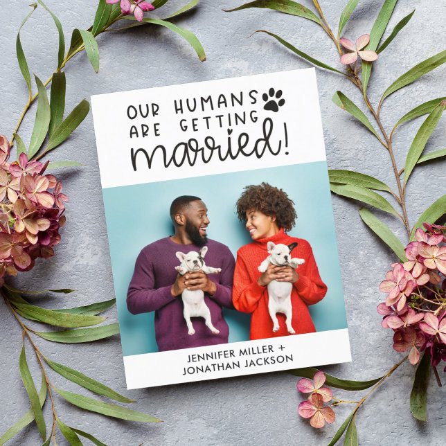 Anúncio de foto de animais de estimação casando QR (Criador carregado)