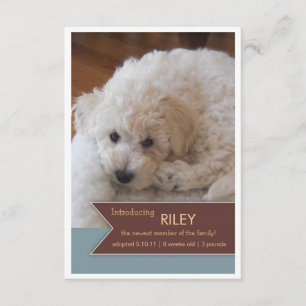 Anúncio de Foto do Novo Banner Marrom de Foto Pet 