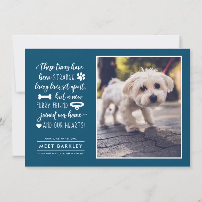 Anúncio de Fotos de Pet em Tempos Estranhos| Azul (Frente)