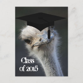 Anúncio de Graduação