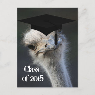 Anúncio de Graduação