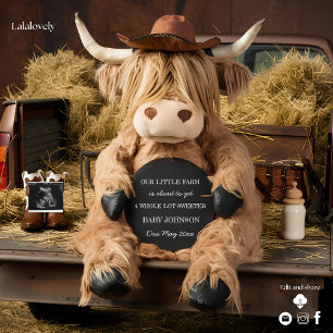 anúncio de gravidez da fazenda da Highland