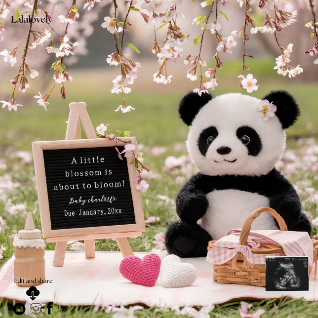anúncio de gravidez de panda doce e flor de cereje (Criador carregado)