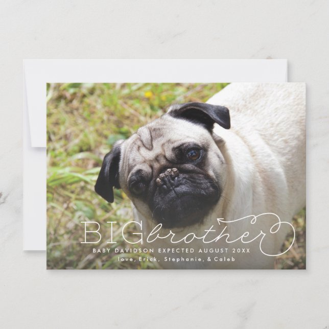 Anúncio de gravidez do Big Brother Photo Pet (Frente)