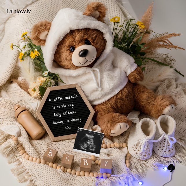 Anúncio de Gravidez do Ursinho Bearly Wait (Criador carregado)