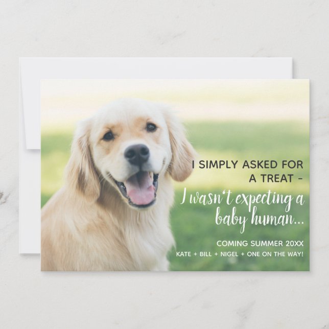 Anúncio de Gravidez Humana de Pet Baby Cute (Frente)