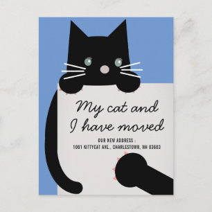 Anúncio de Movimentação Azul de Gato Preto