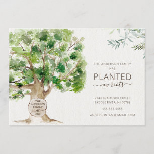 Anúncio de Movimentação da Árvore de Carvalho 