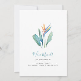 Anúncio de Movimentação da Flor Tropical de Aquare