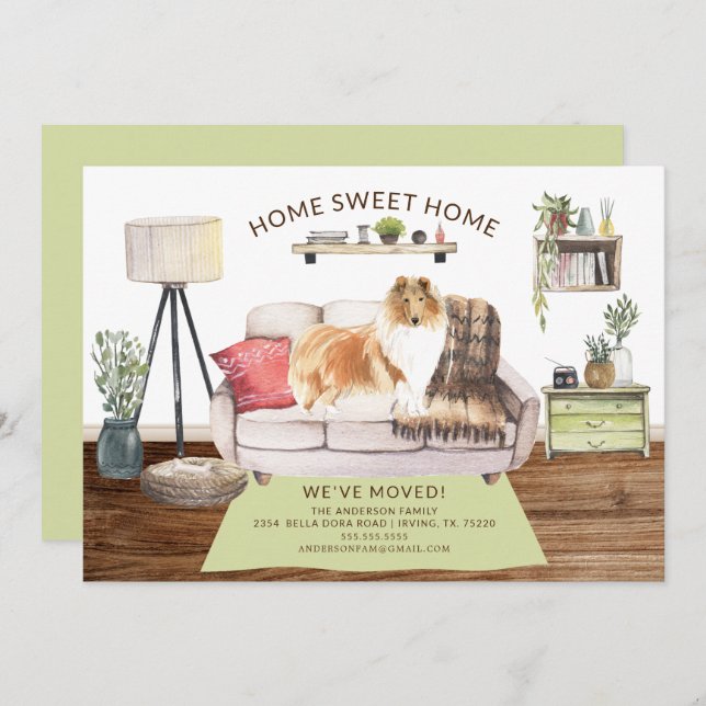 Anúncio de Movimentação de Cachorro de Collie Roug (Frente/Verso)