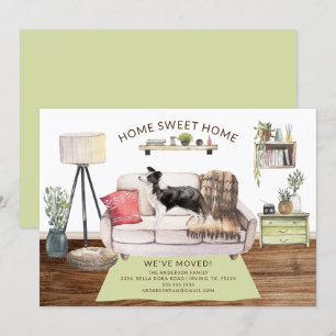 Anúncio de Movimentação de Cachorro de Fronteir