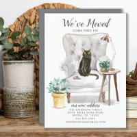 Anúncio de Movimentação de Gato Bombaim