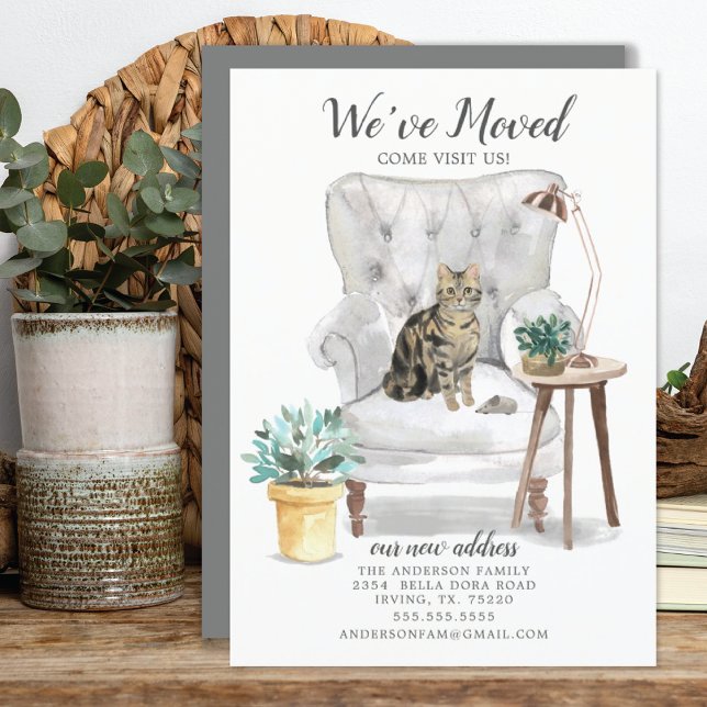 Anúncio de Movimentação de Gato Marrom Tabby (Criador carregado)