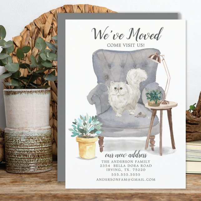 Anúncio de Movimentação de Gato Persa (Criador carregado)