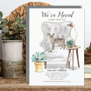 Anúncio de Movimentação de Gato Tonquinês