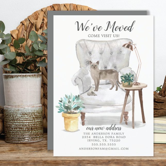 Anúncio de Movimentação de Gato Tonquinês (Criador carregado)