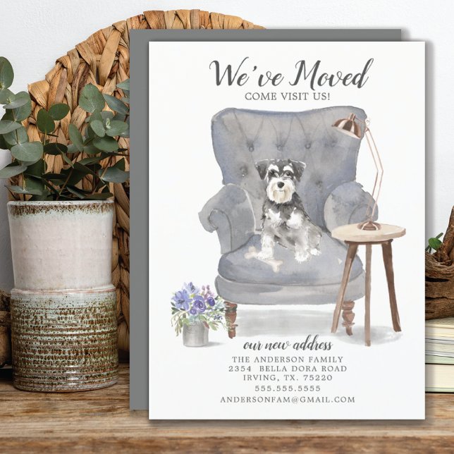 Anúncio de Movimentação de Miniatura Schnauzer (Criador carregado)