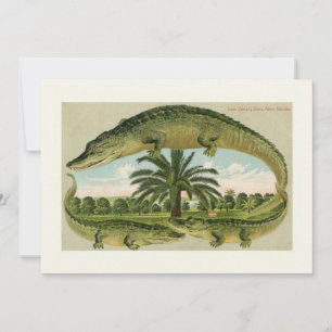 Anúncio de Movimentação do Alligador Clássico