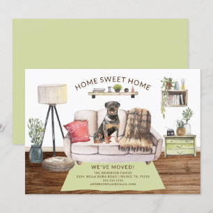 Anúncio de Movimentação do Cachorro Rottweiler