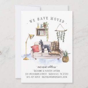 Anúncio de Movimentação do Cachorro Schnauzer