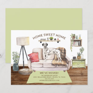 Anúncio de Movimentação do Cão Dalmático