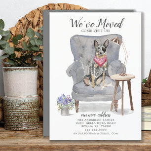 Anúncio de Movimentação do Cão-de-Bovinos Australi