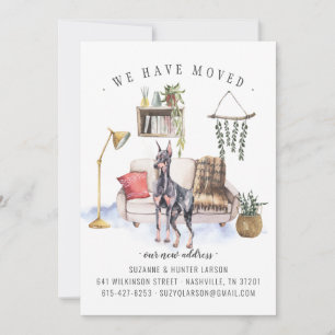 Anúncio de Movimentação do Doberman Pinscher