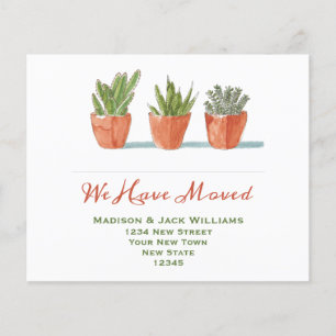 Anúncio de Movimentação do Novo Endereço do Cactus