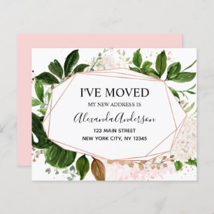 Anúncio de Movimentação do Orçamento Eucalyptus Gr