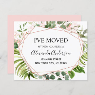 Anúncio de Movimentação do Orçamento Eucalyptus Gr