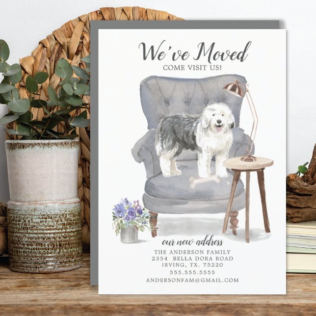 Anúncio de Movimentação do Ovelino Inglês (Criador carregado)