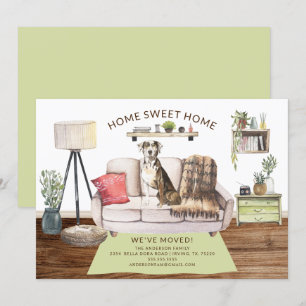 Anúncio de Movimento do Cachorro-Leopardo Catahoul