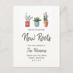 Anúncio de Mudança de Cactus   Novas Raízes