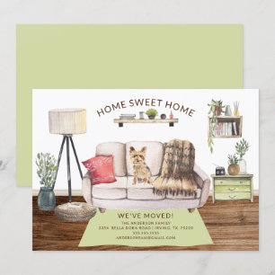 Anúncio de mudança de Yorkshire Terrier Dog