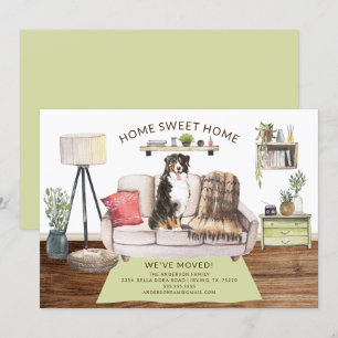 Anúncio de mudança do cachorro da montanha Berne