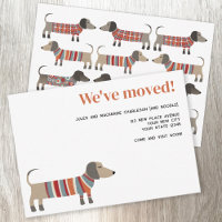Anúncio de Mudança do Cão Dachsund Divertido