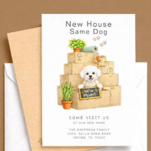 Anúncio de Mudança para Nova Casa do Bichon Frise
