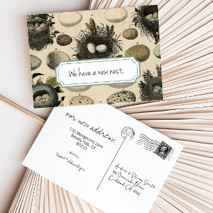 Anúncio de Mudança Personalizável // Pássaro Vinta