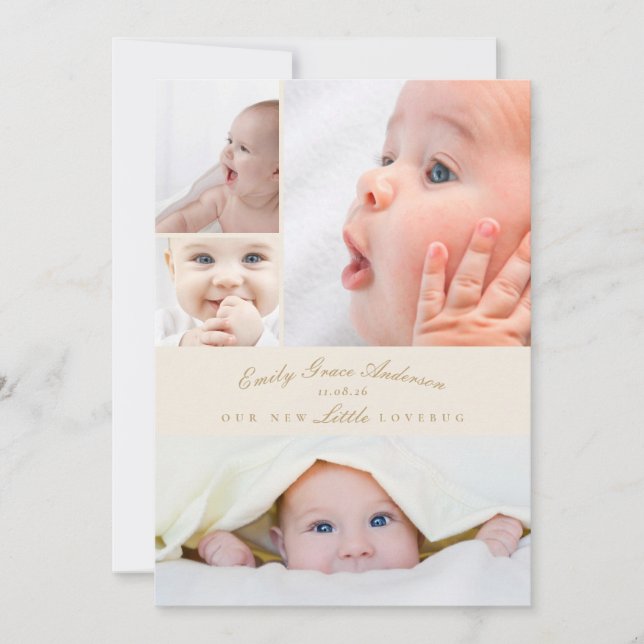 Anúncio de Nascimento 5 Colagem Pequeno Inseto de  (Frente)