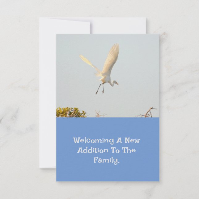 Anúncio De Nascimento Com Stork Voadora. (Frente)